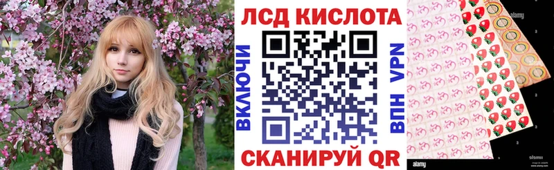 Марки 25I-NBOMe 1,5мг  где найти наркотики  Новоузенск 
