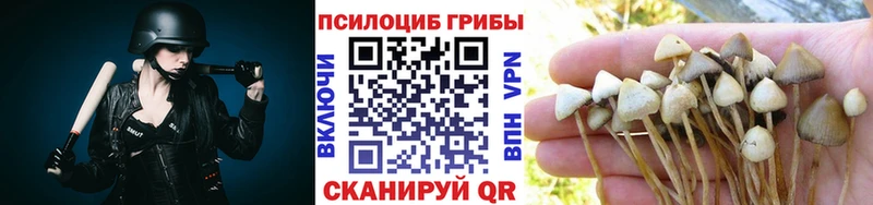 Галлюциногенные грибы ЛСД  хочу наркоту  mega сайт  Новоузенск 