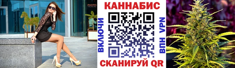 Канабис сатива закладка Новоузенск